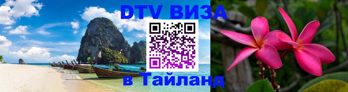 Сколько стоит DTV виза — актуальные цены, оформление даже без документов - Осло 